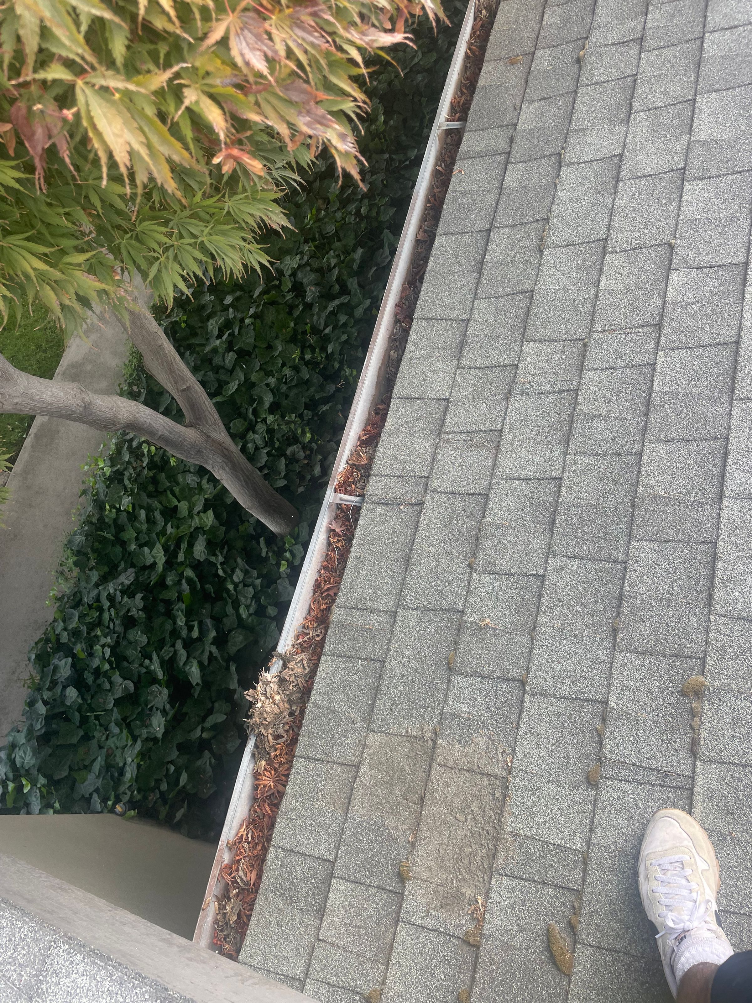 High Shine Exterior Cleaning & Holiday Lights Modesto, CA's image