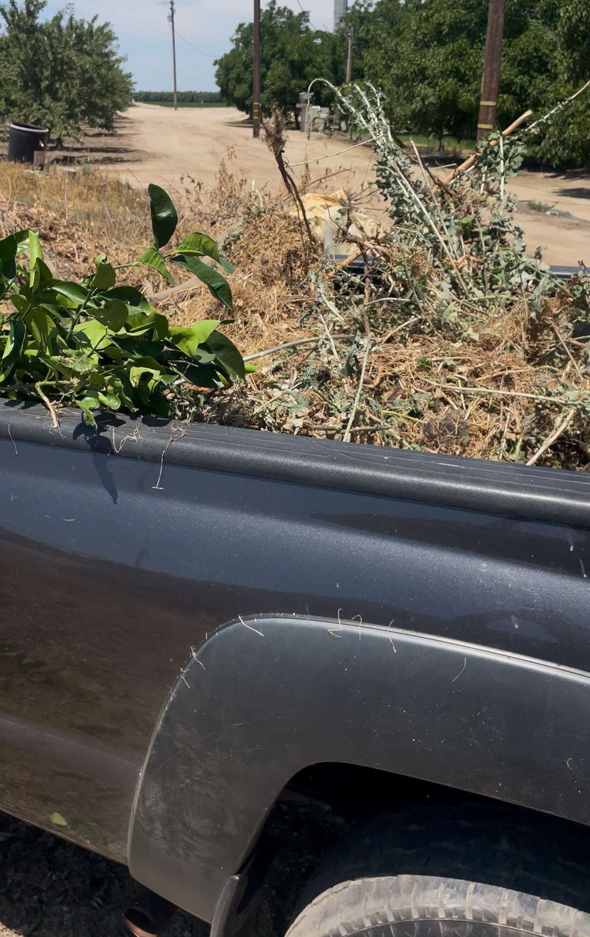 SAAVEDRA LANDSCAPING's image