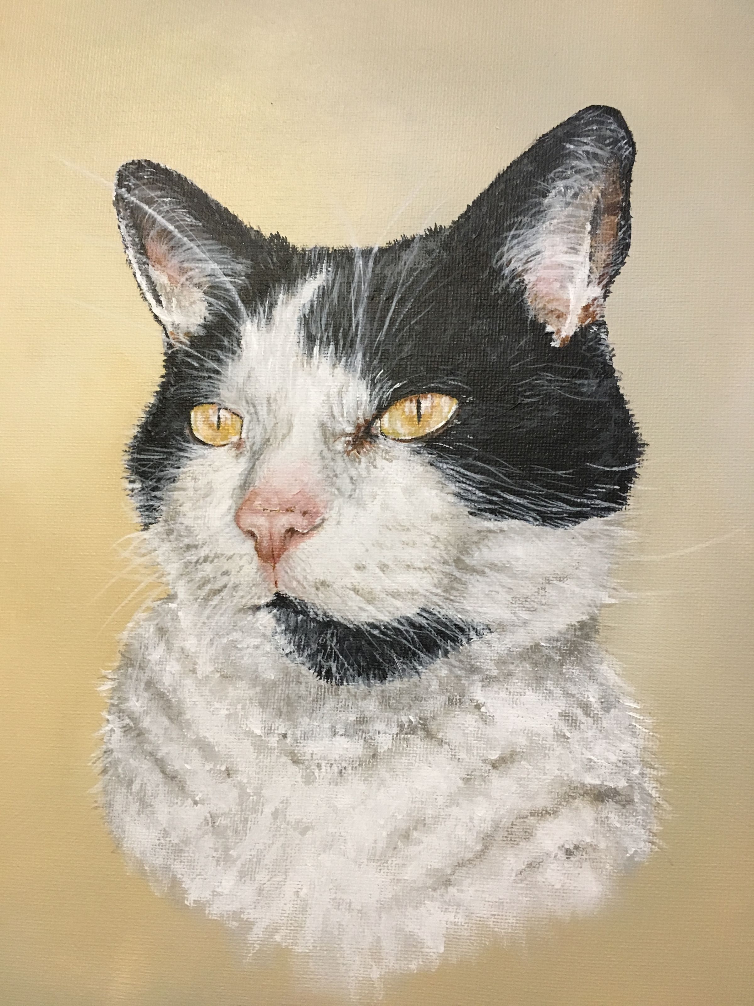 Acrylic on canvas,