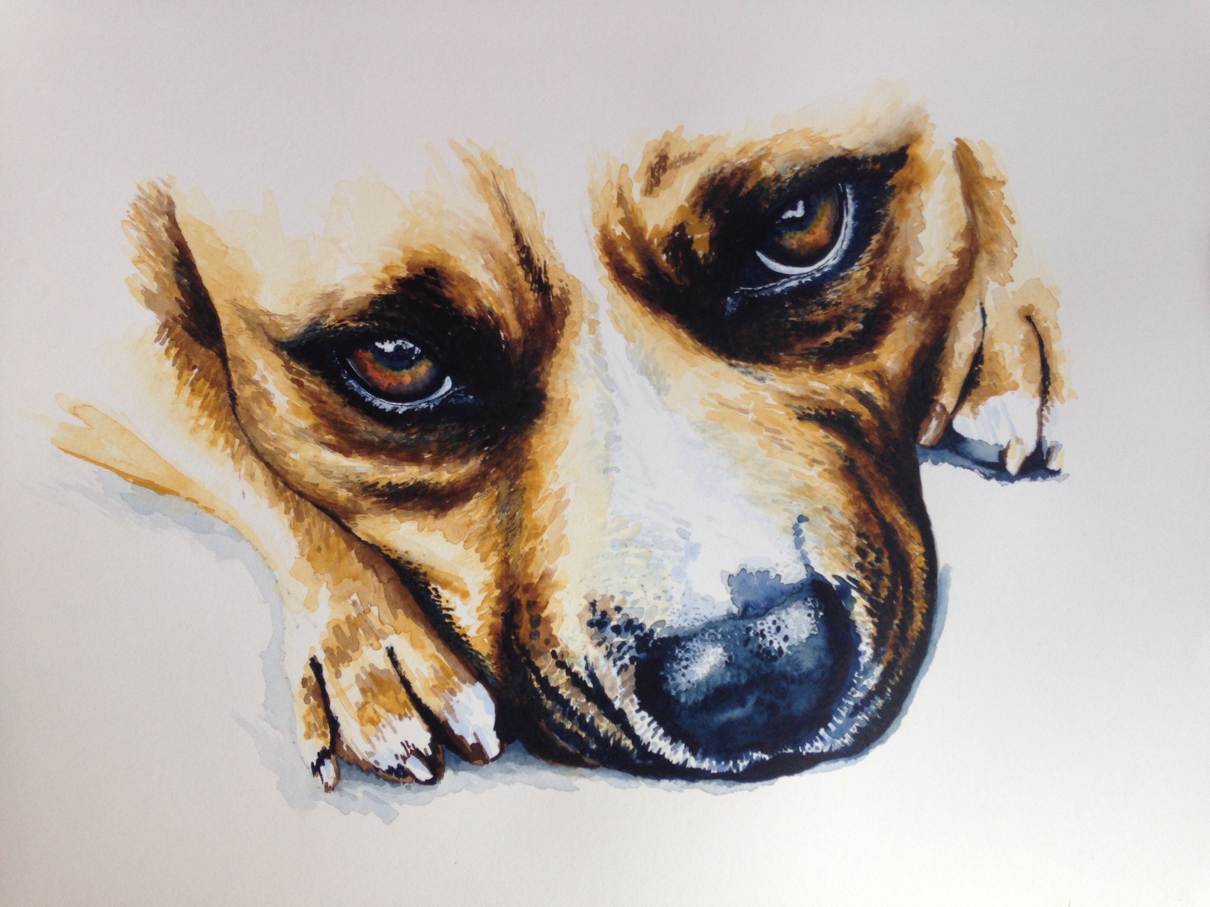 Watercolour on cartridge paper.
