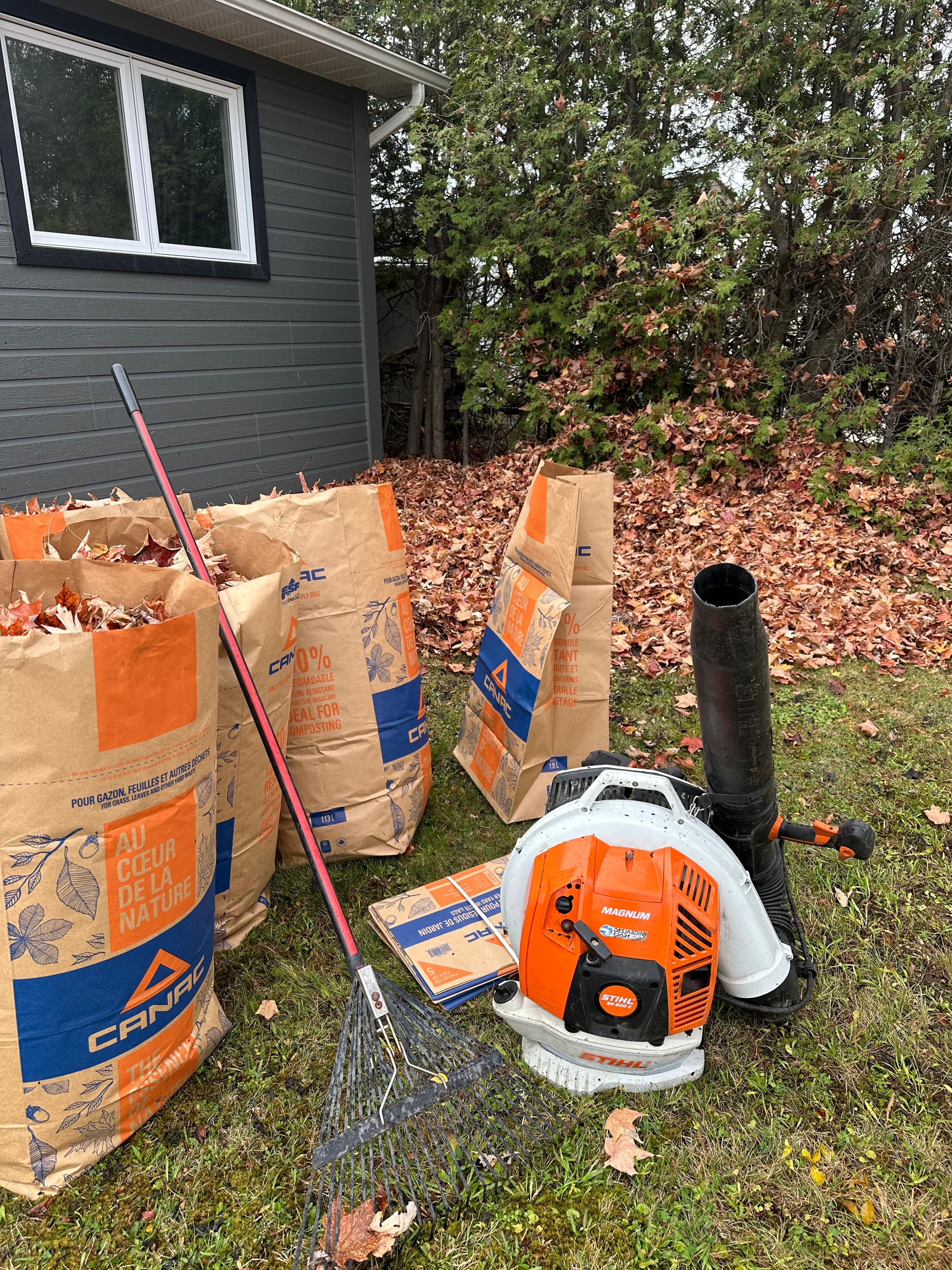 Ramassage automnal des feuilles