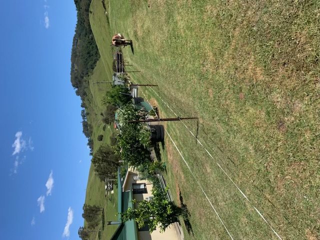 Buka's Garden Maintenance's image