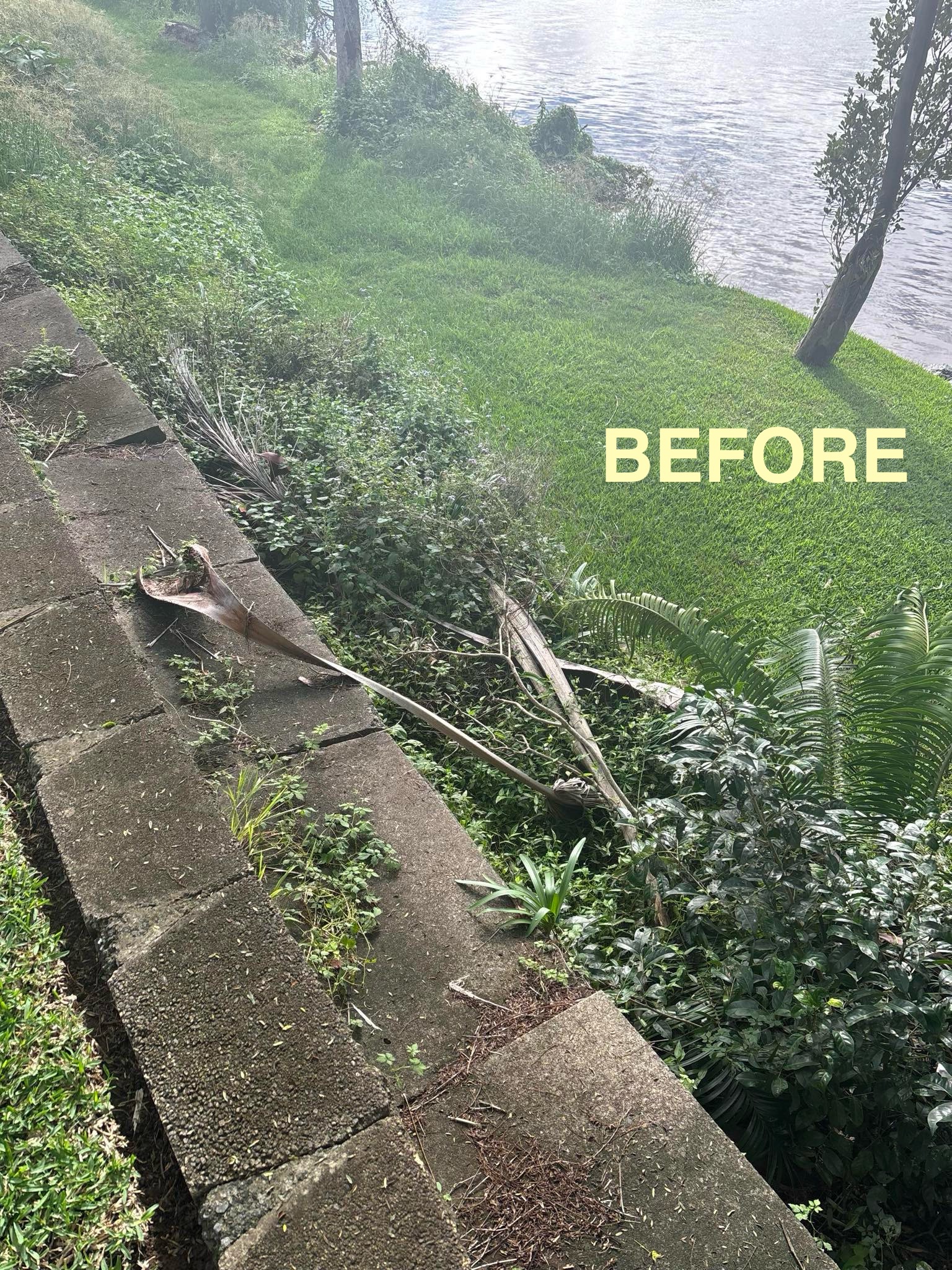 Buka's Garden Maintenance's image