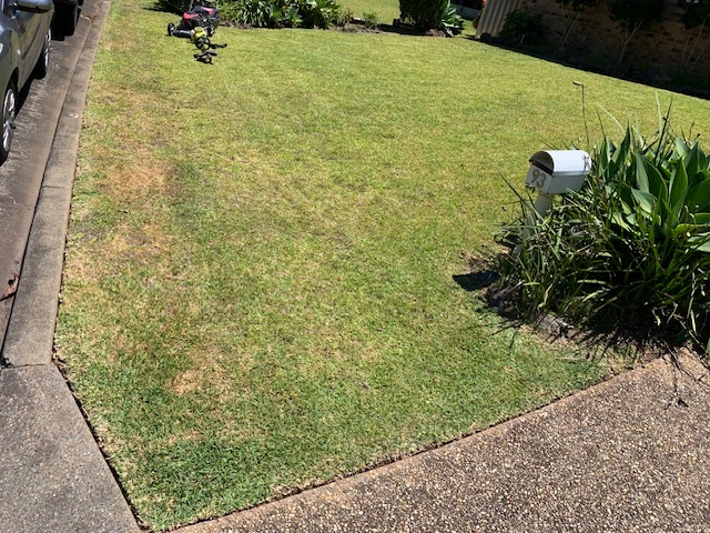 Buka's Garden Maintenance's image