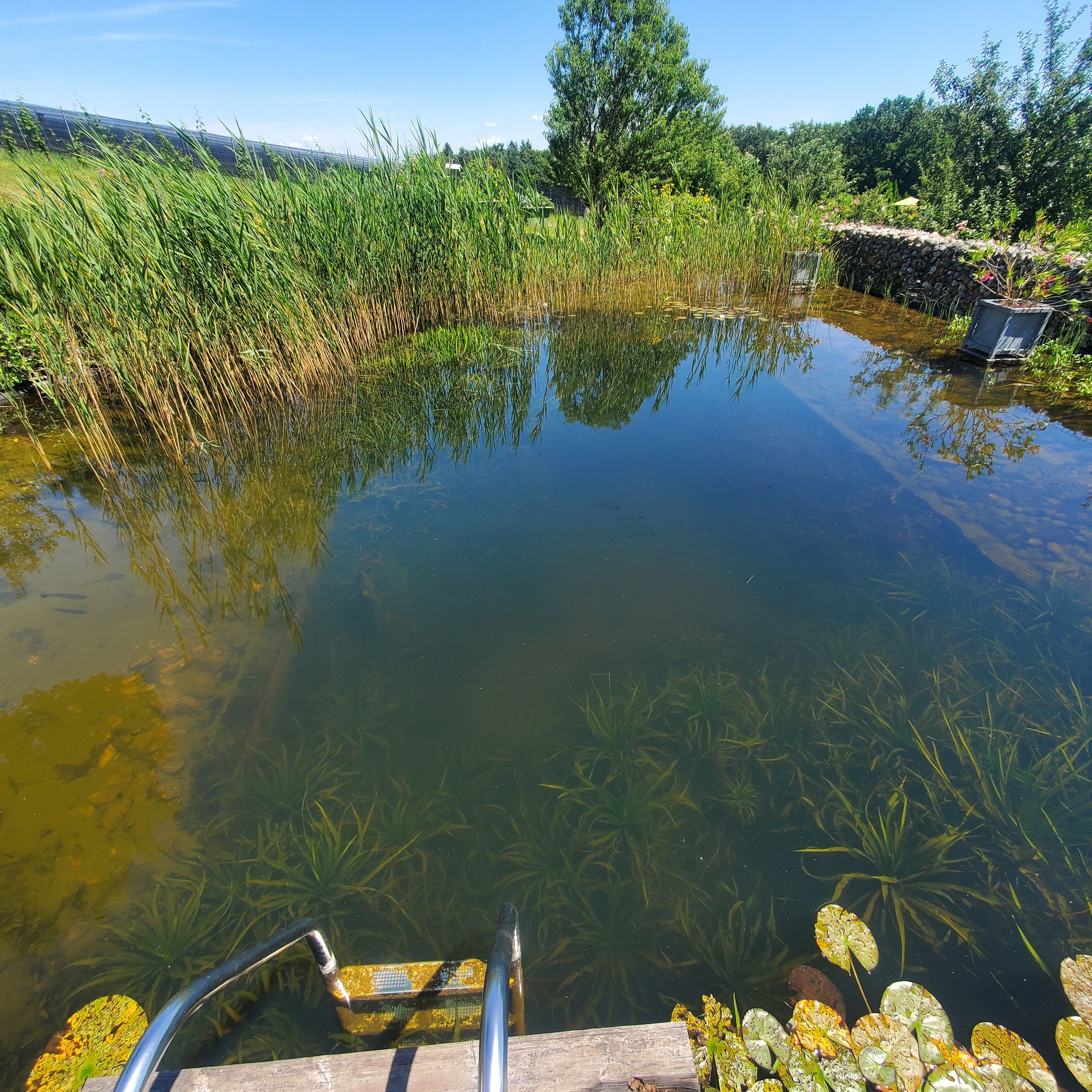 *On Call Somm*'s image