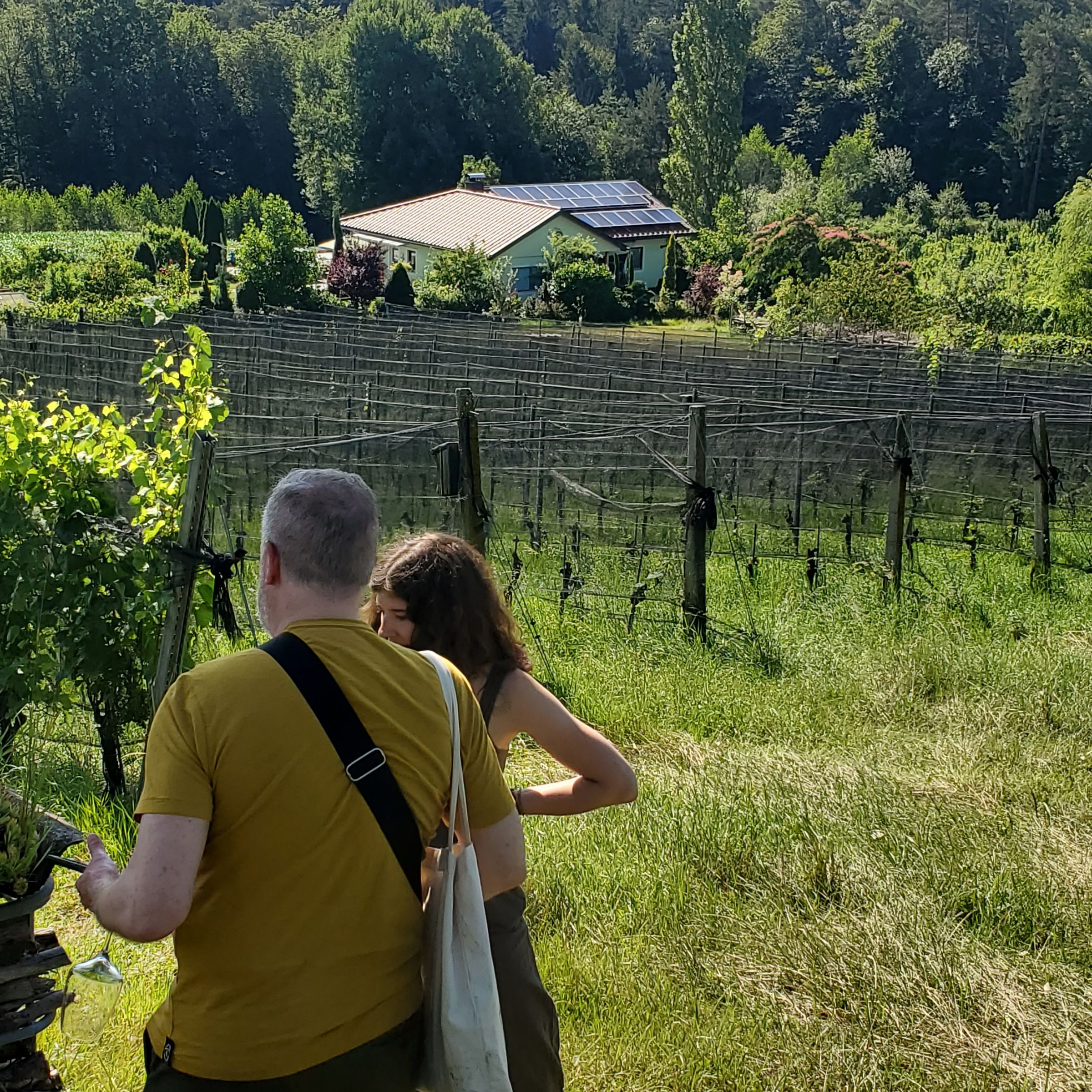 *On Call Somm*'s image