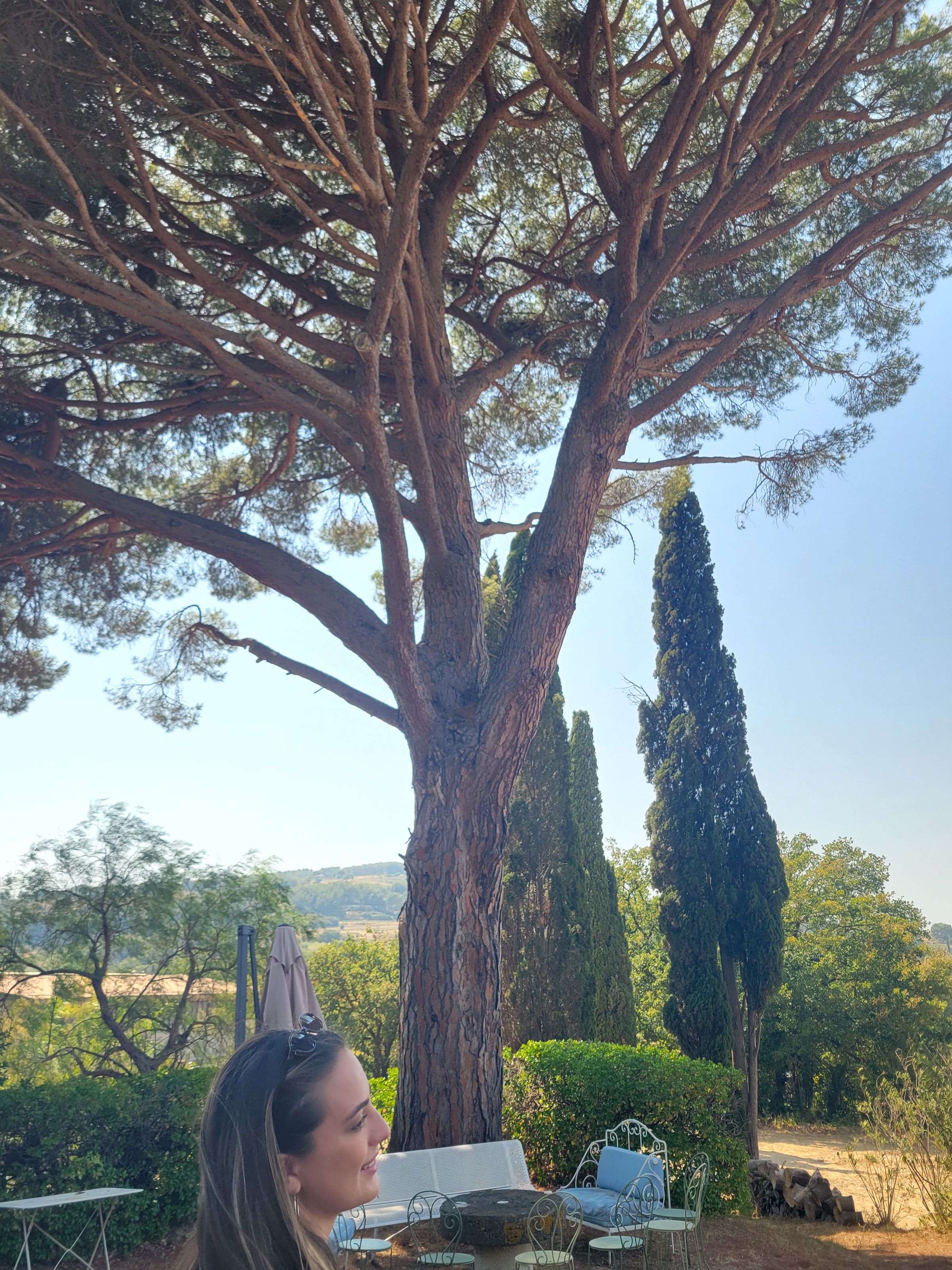 *On Call Somm*'s image