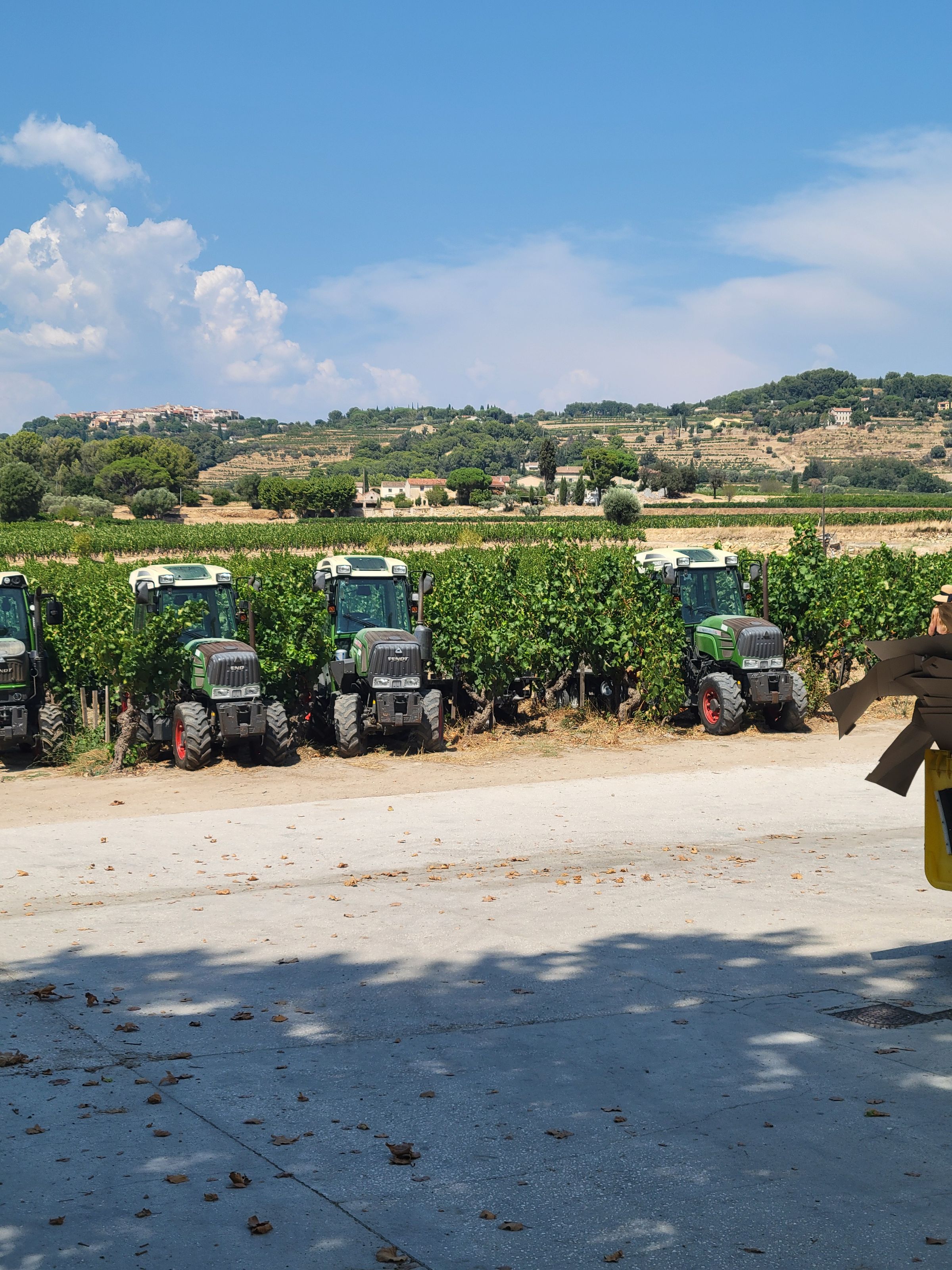 *On Call Somm*'s image