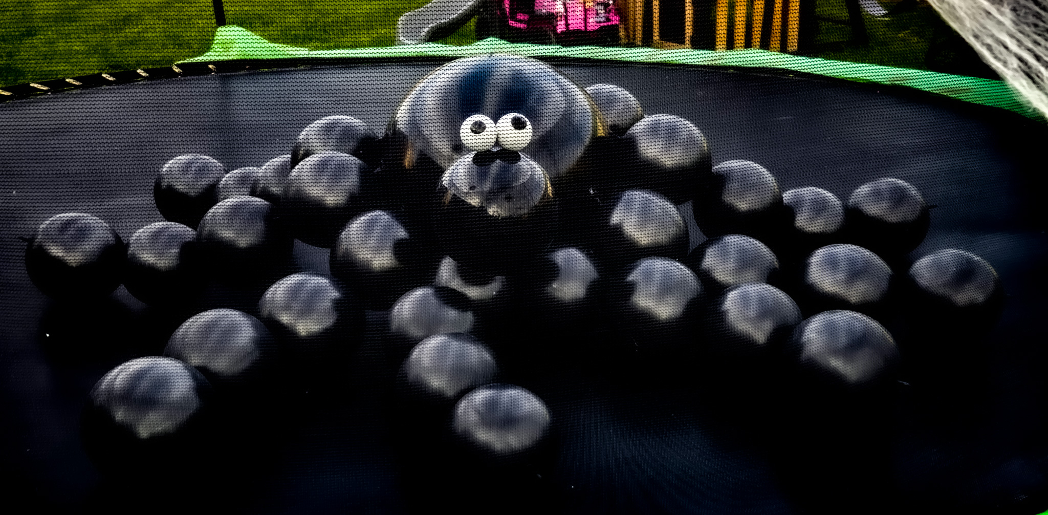 Unique Balloons & Party Decor's image