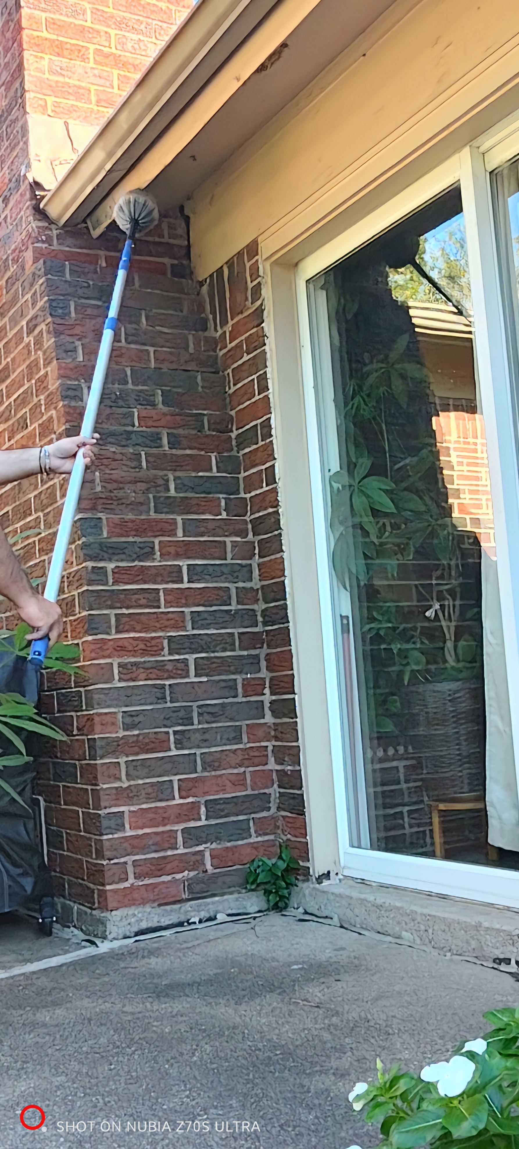 Socios Squad's image