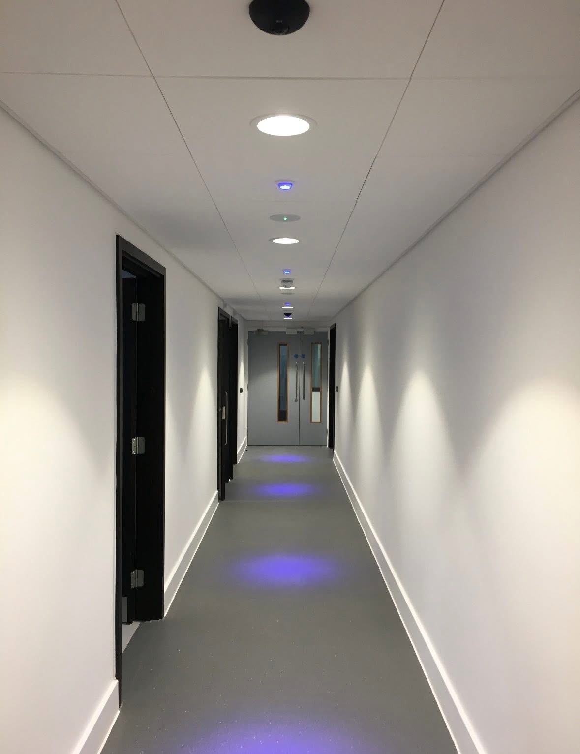 O'Dell Decor's image