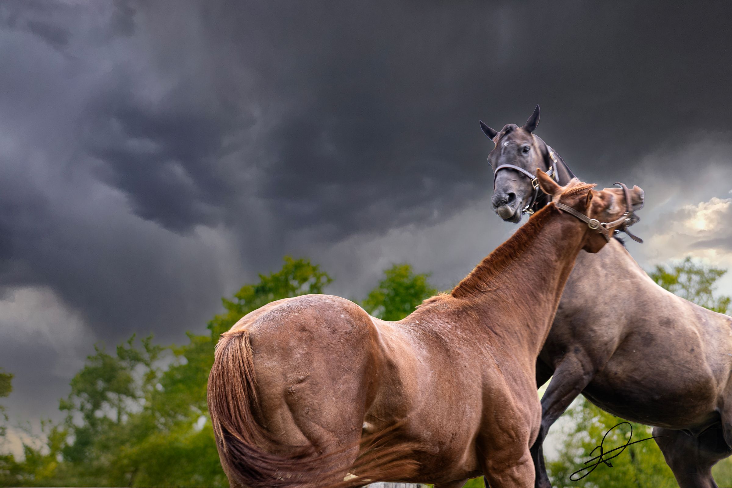 The Gifted Find's image