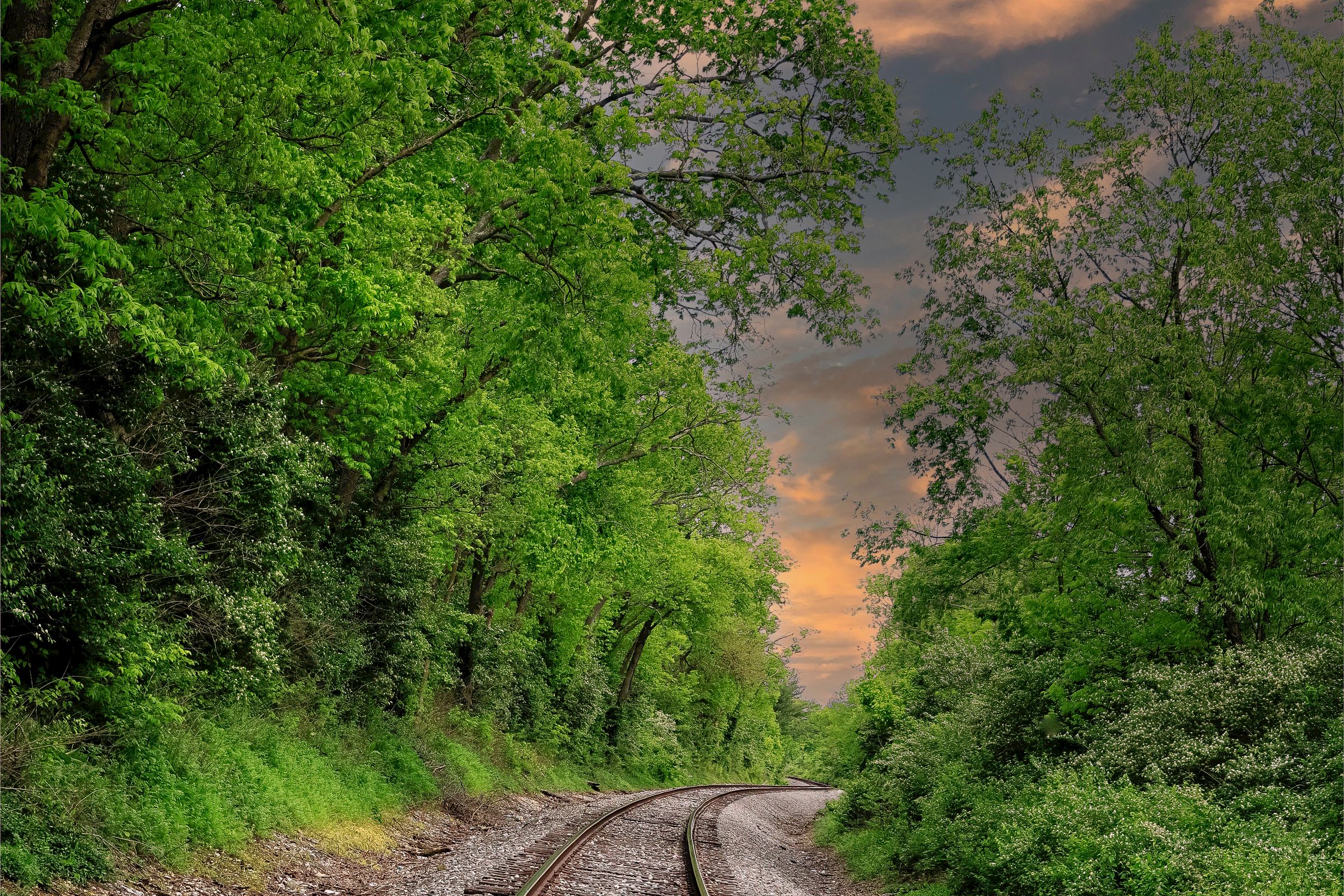 The Gifted Find's image