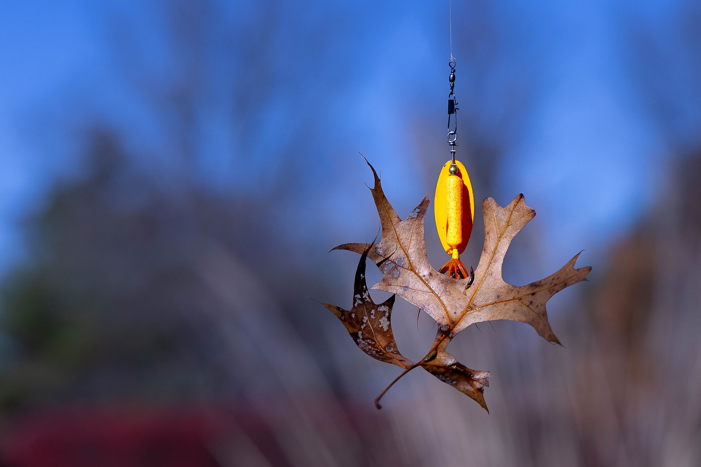 The Gifted Find's image