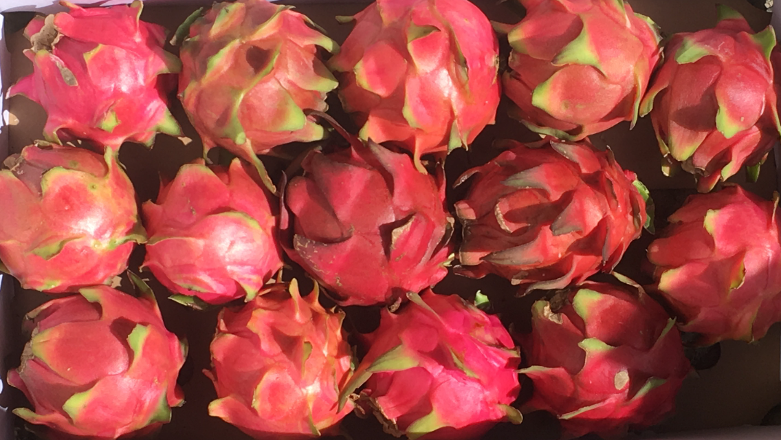 Fruit exporter Mauritius 's image