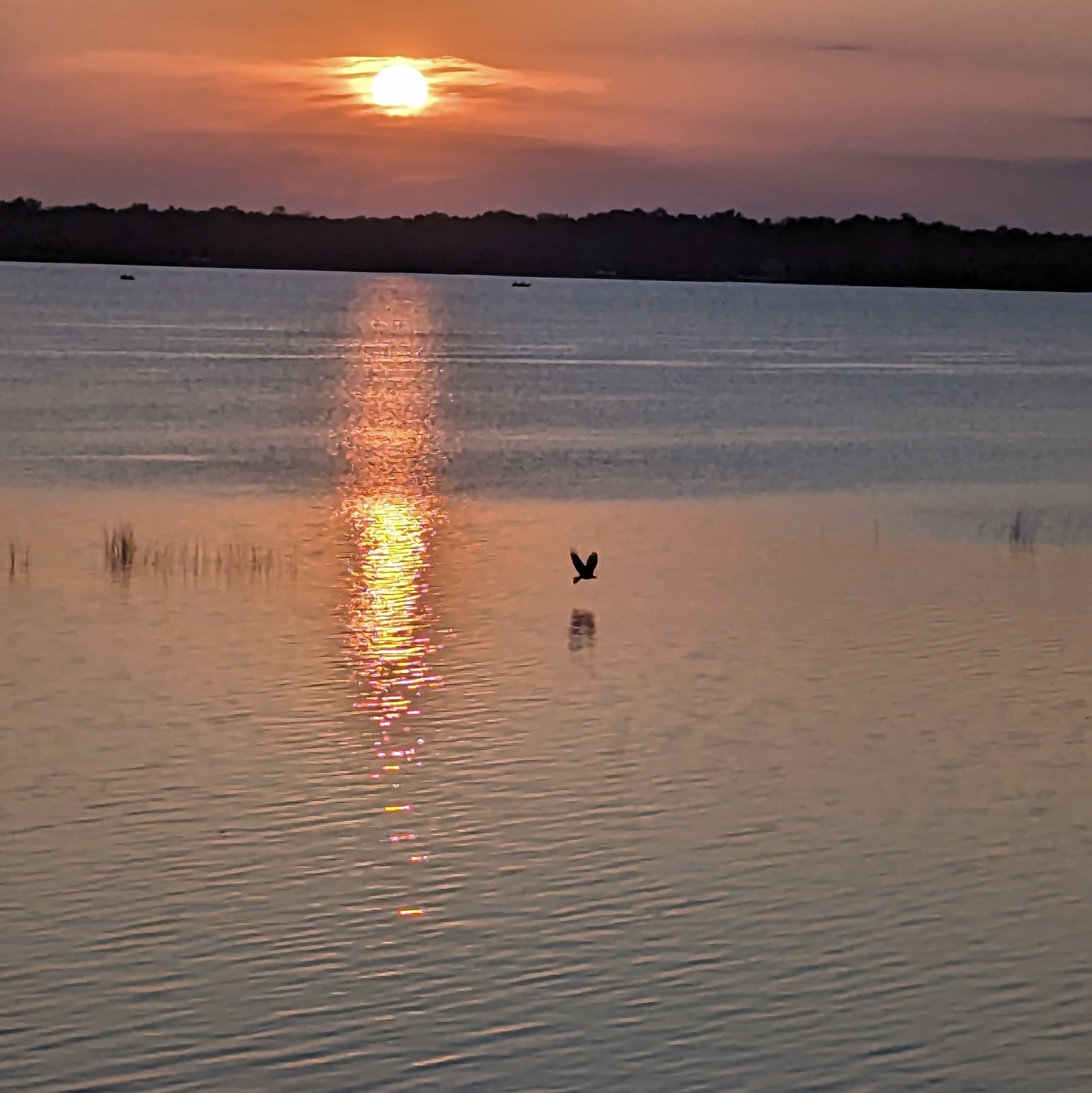 Lakeside Heroes Initiative's image