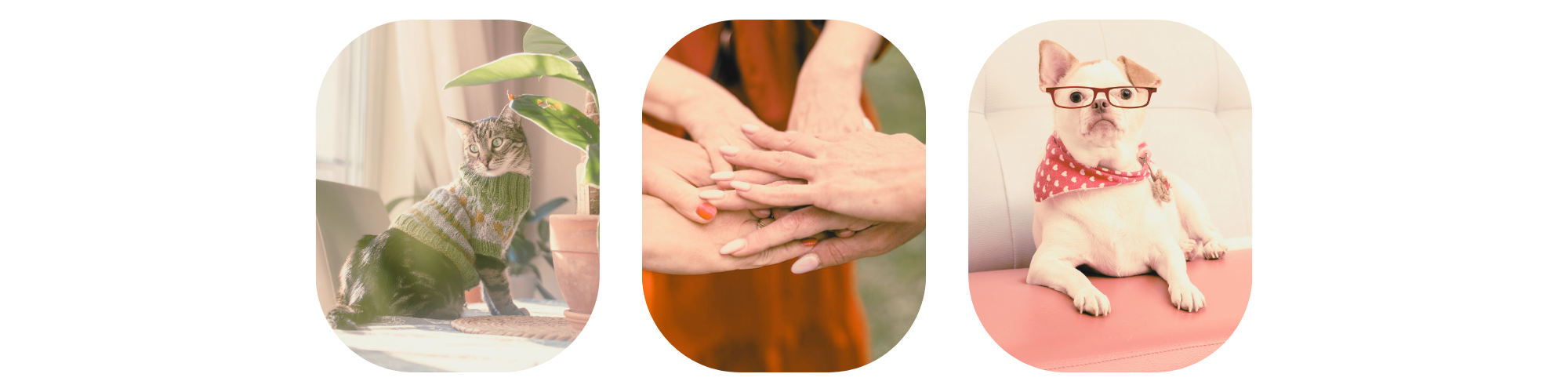 The Mally Network's image