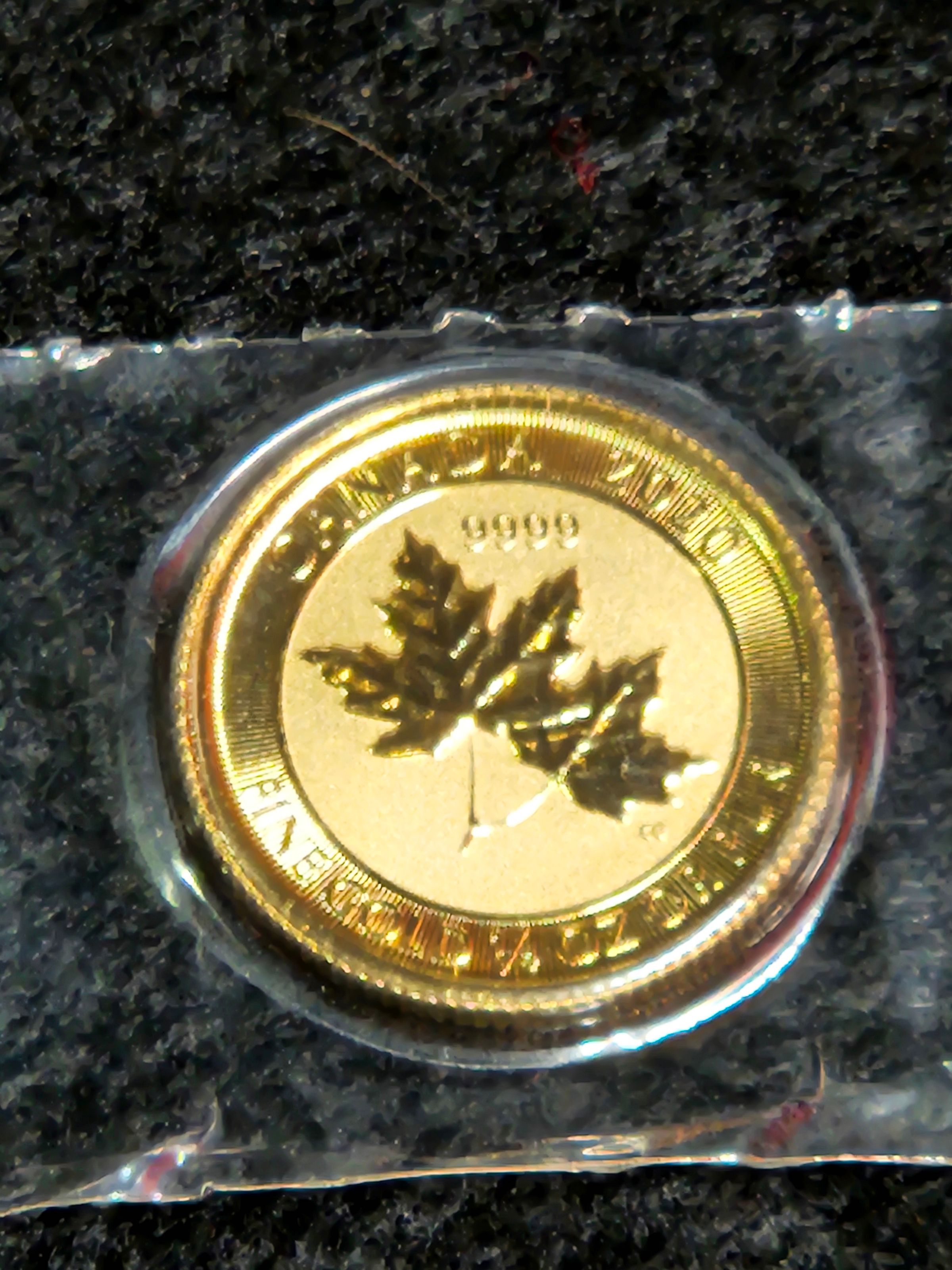 Guild Gold & Silver's image