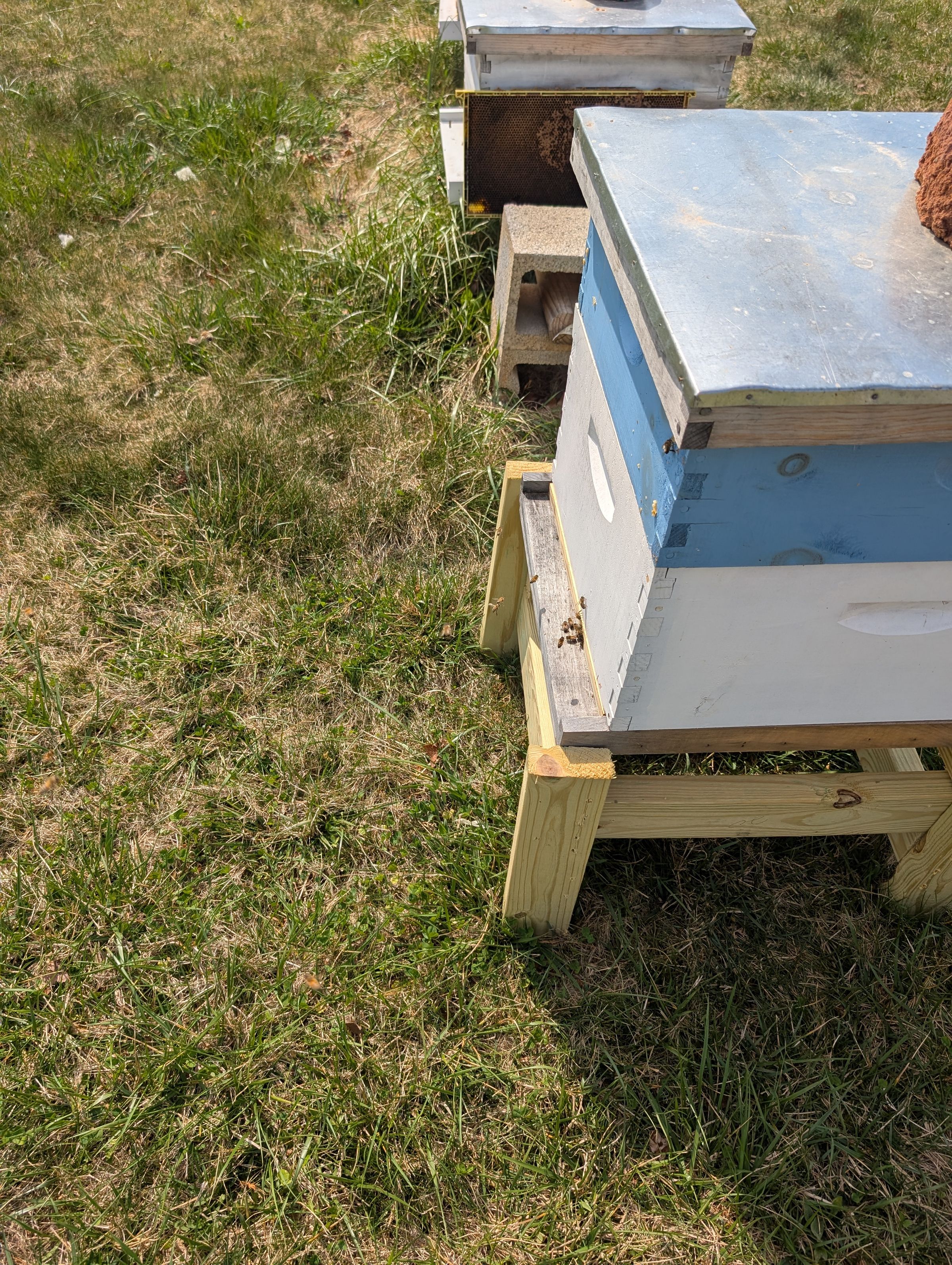 Buzzee Bee Honey's image