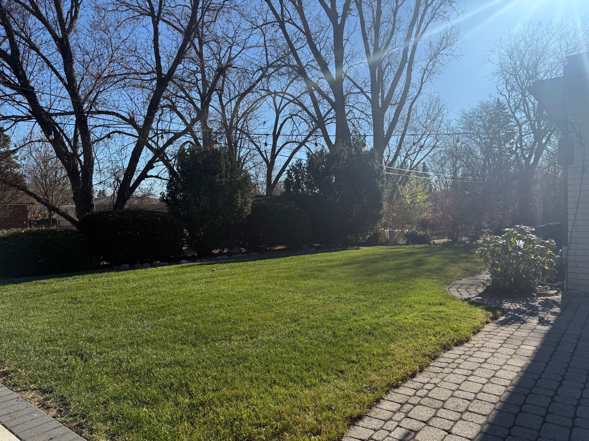 Blade & Bloom Outdoor Services - SE Michigan Landscaping's image