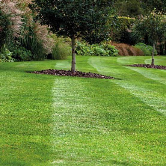 Blade & Bloom Outdoor Services - SE Michigan Landscaping's image