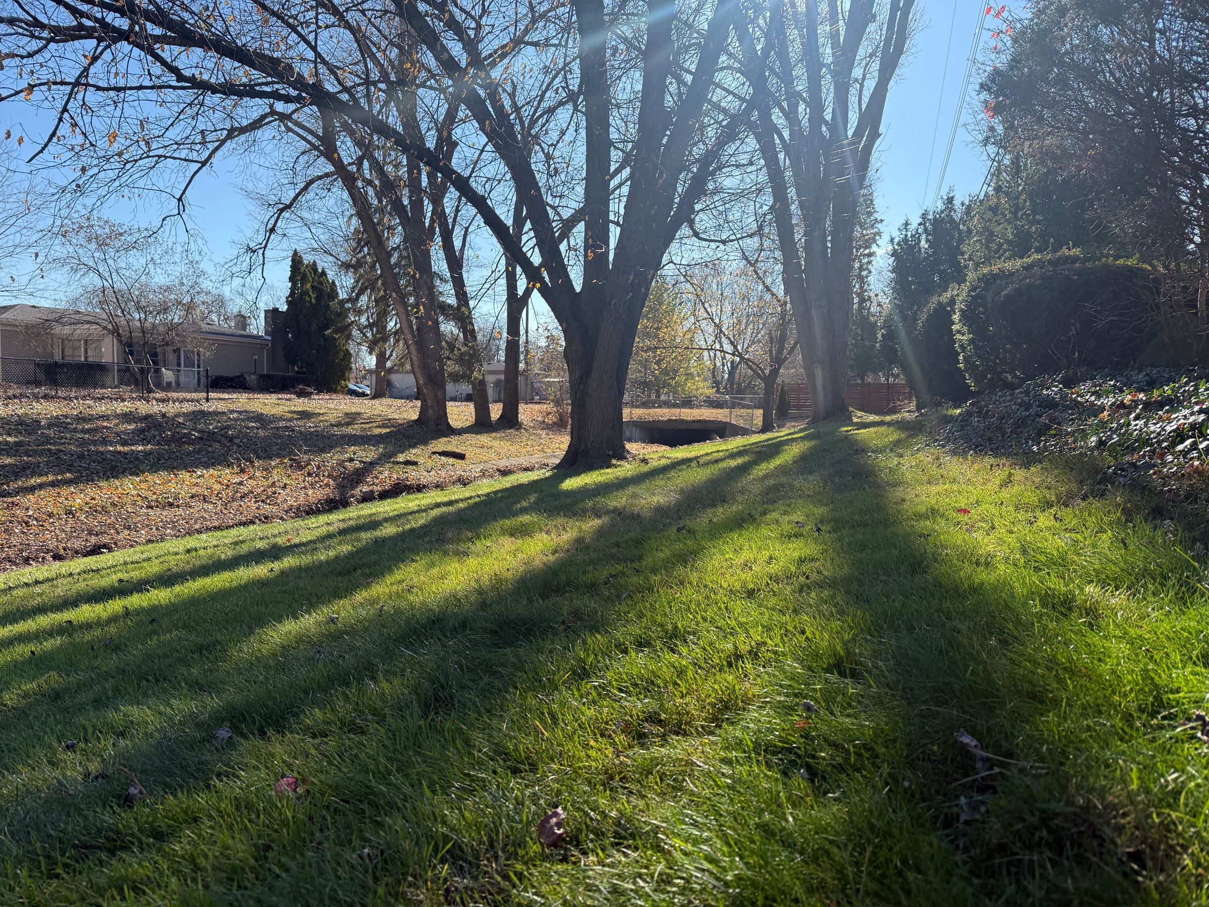 Blade & Bloom Outdoor Services - SE Michigan Landscaping's image