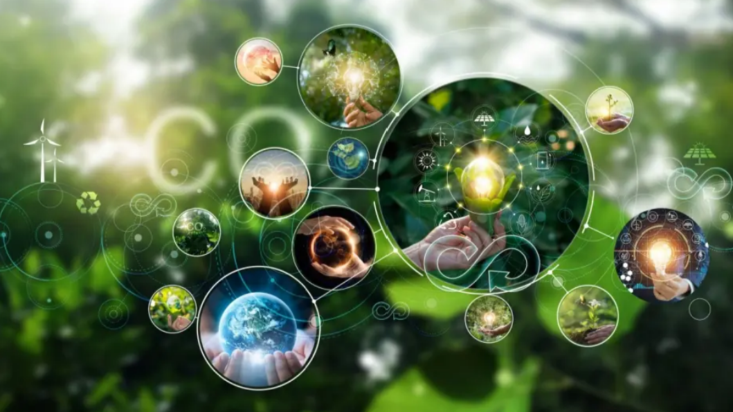 DSPVG Holdings, LLC's image