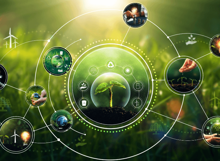 DSPVG Holdings, LLC's image