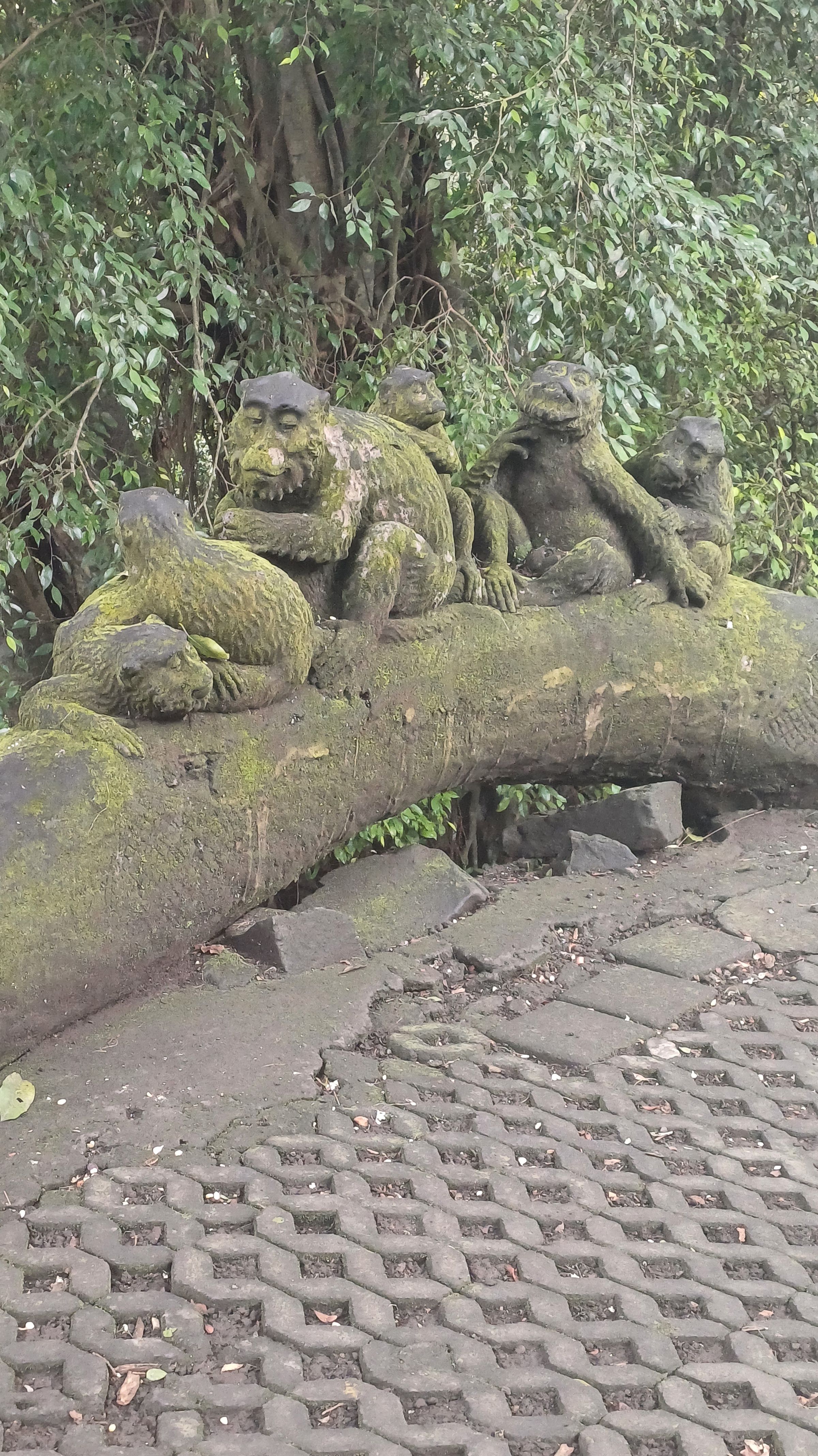 Ubud Monkey Forest