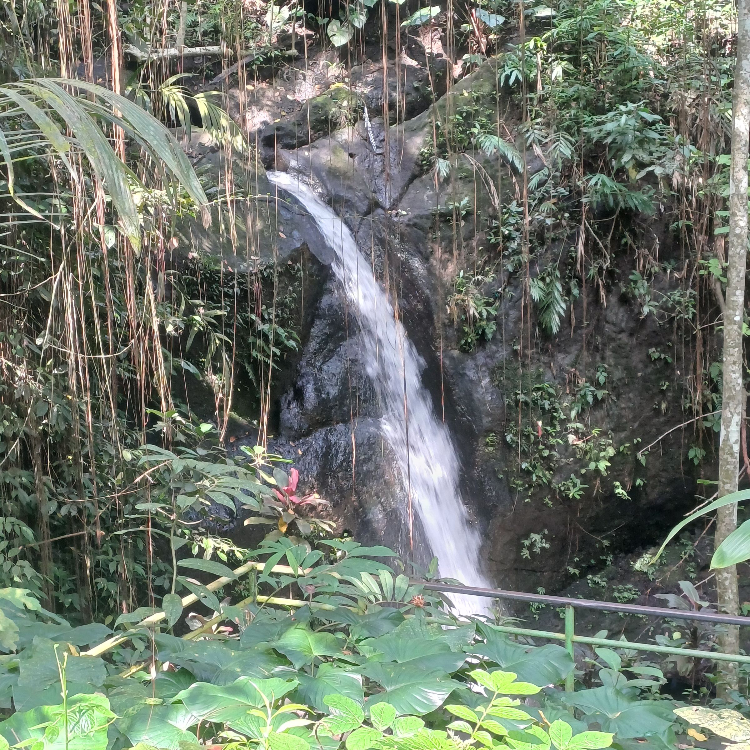 Waterfalls - Goa Gajah