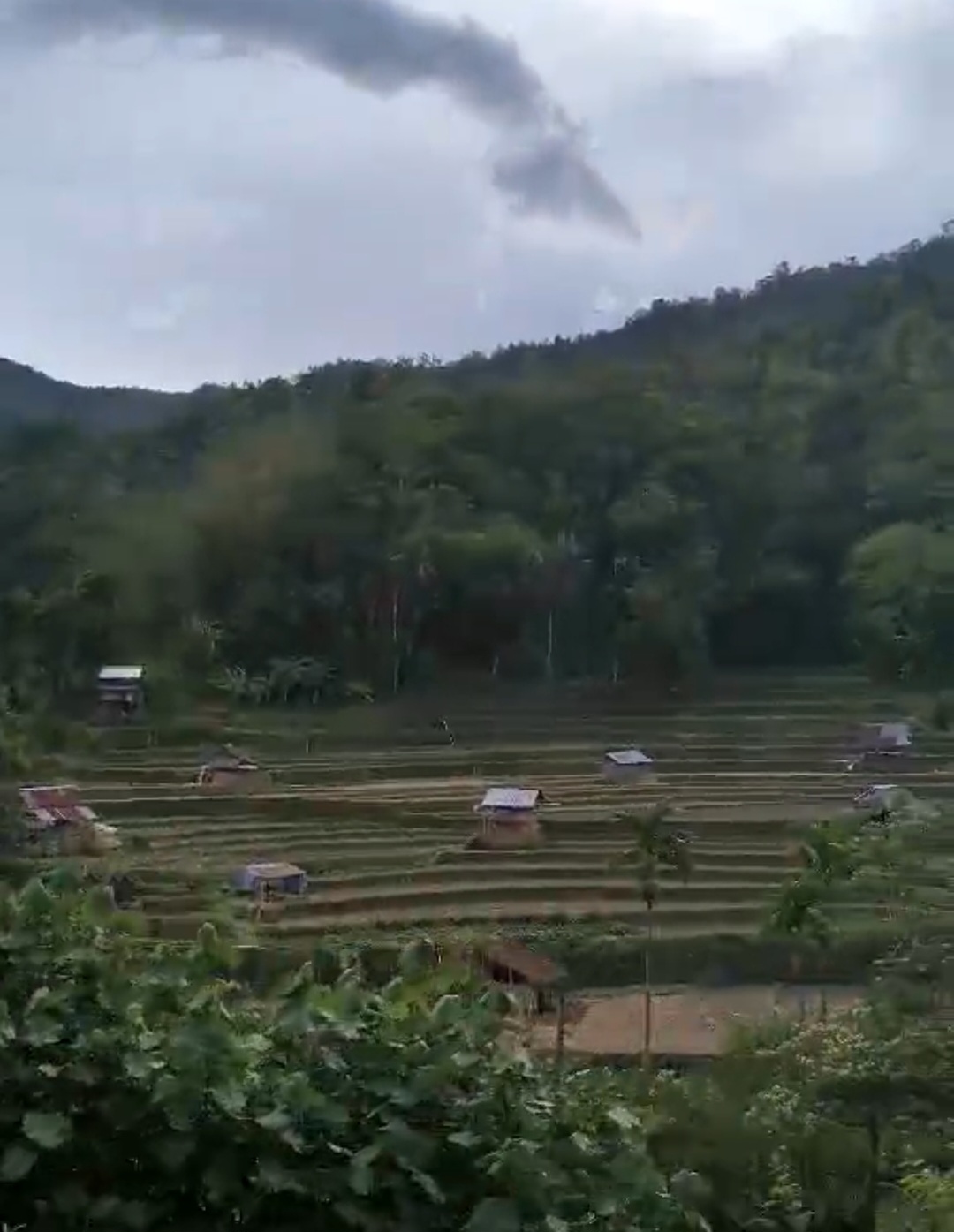 Bangle Rice Terraces