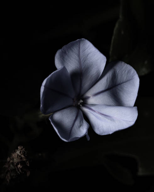 Tapping into Wellness 's image