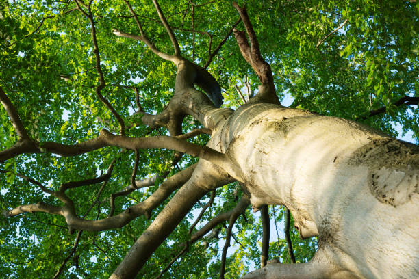 Tapping into Wellness 's image