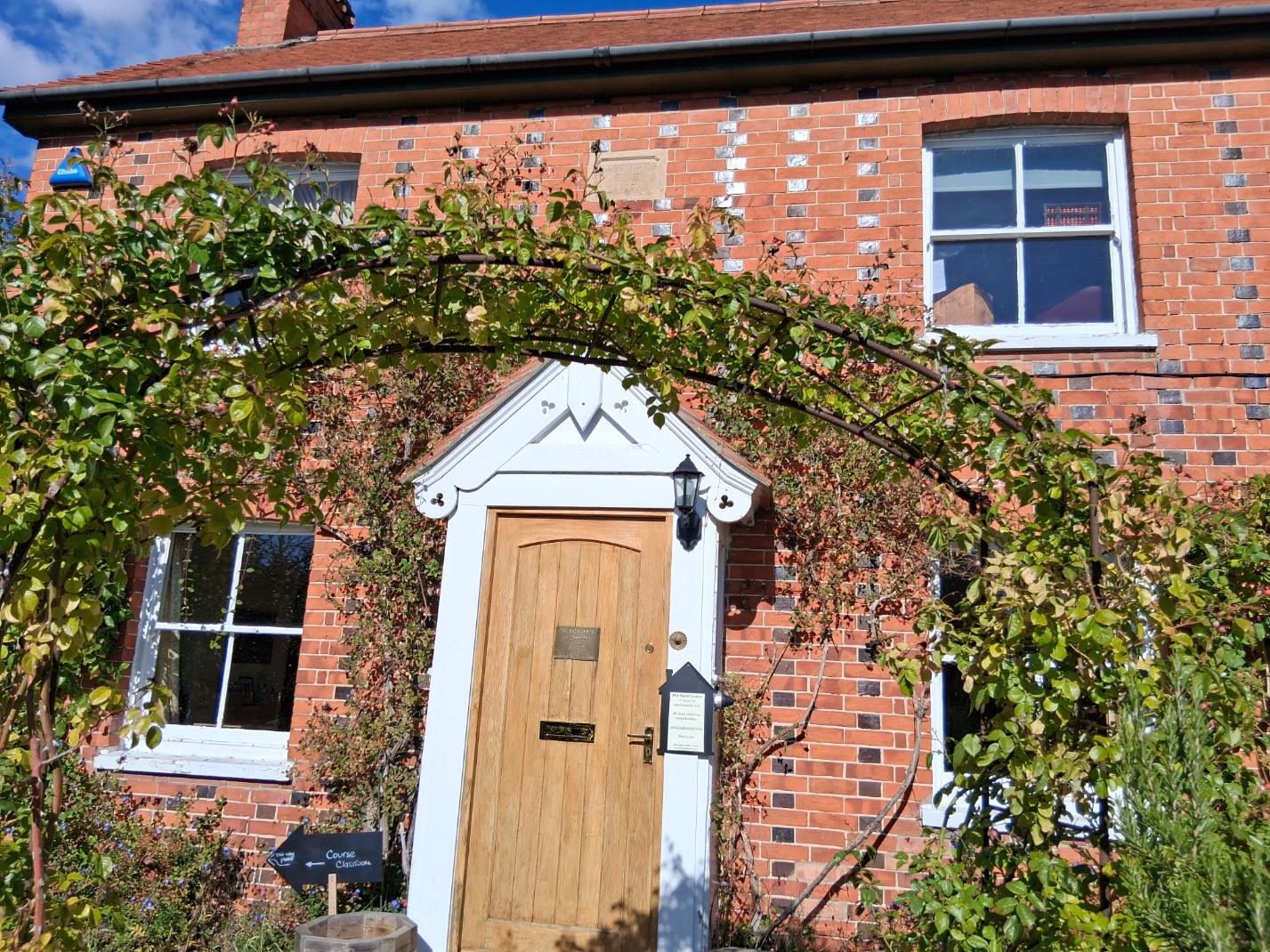 Tapping into Wellness 's image