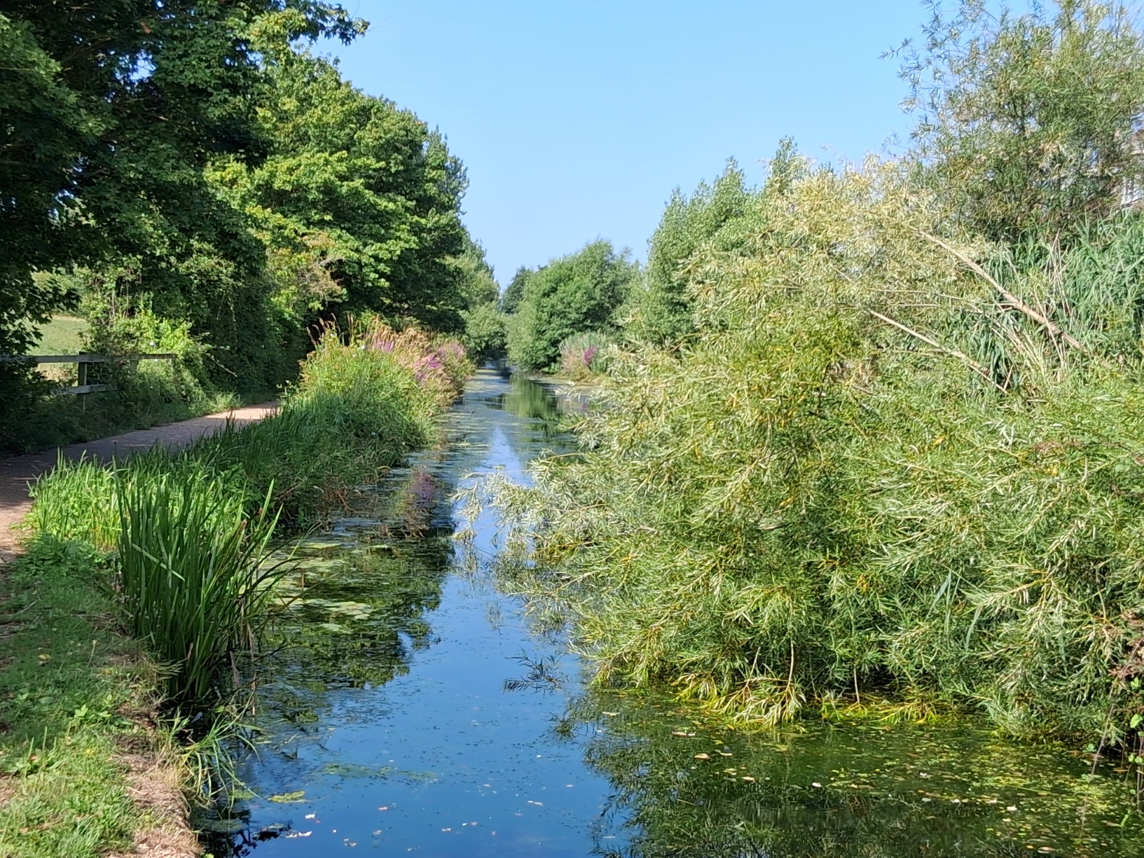 Tapping into Wellness 's image