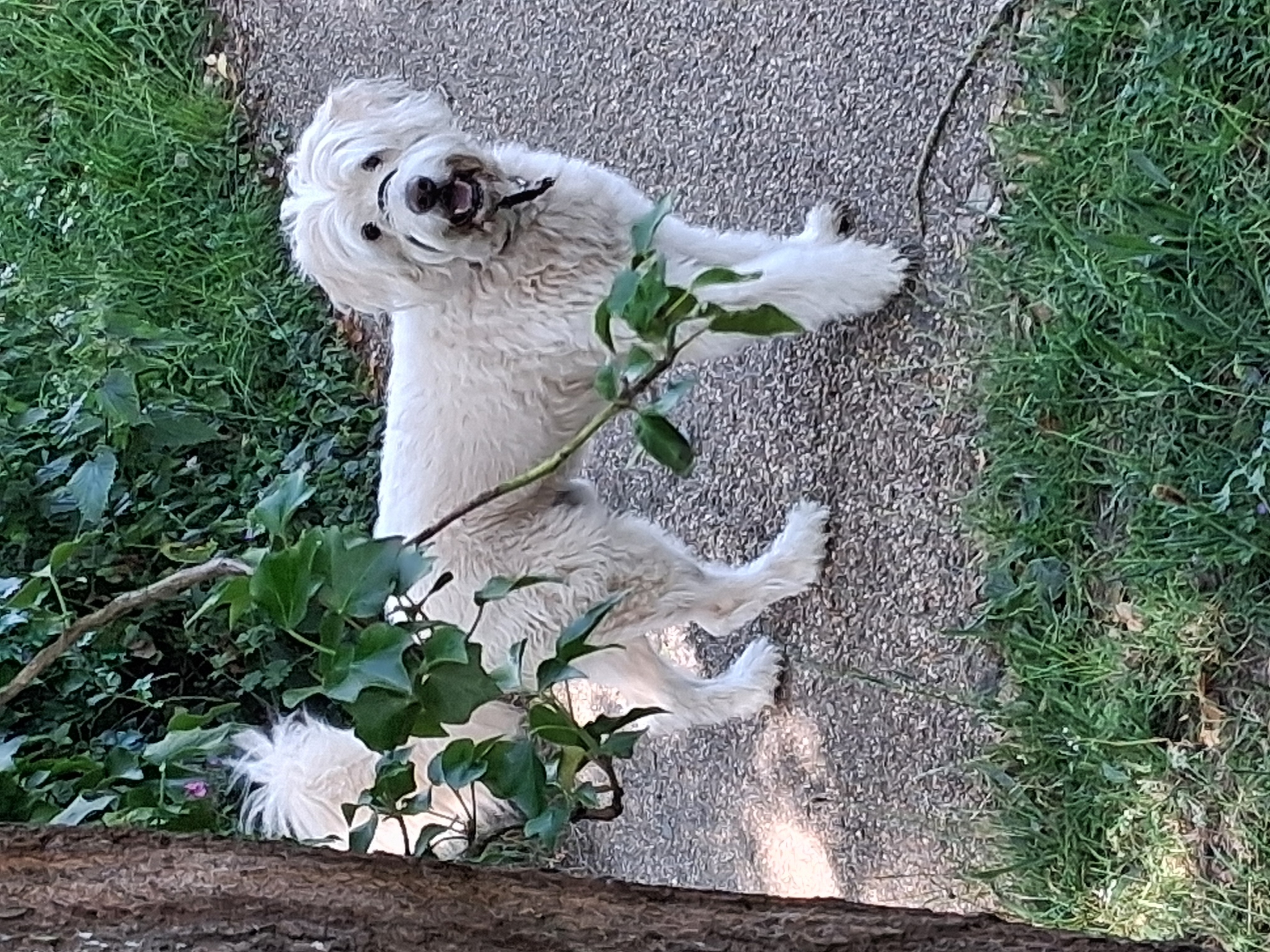 Tapping into Wellness 's image