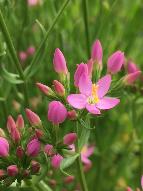 Tapping into Wellness 's image