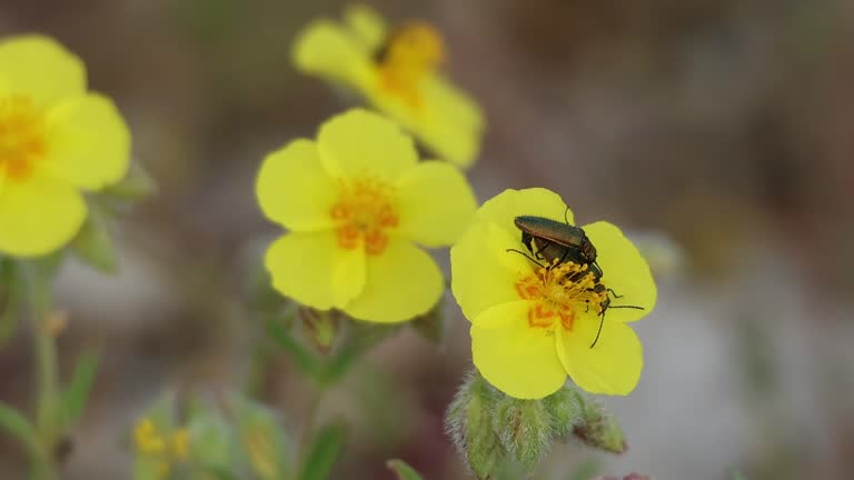 Tapping into Wellness 's image