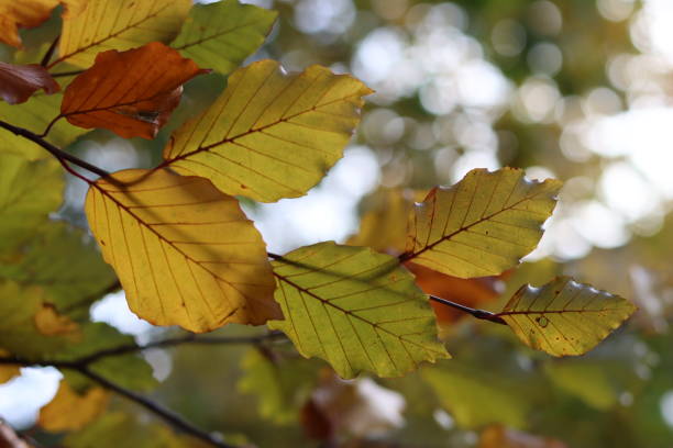 Tapping into Wellness 's image