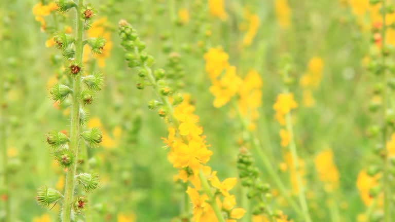 Tapping into Wellness 's image