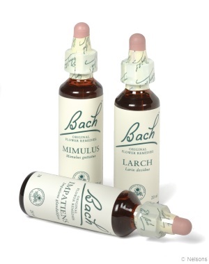 Tapping into Wellness 's image