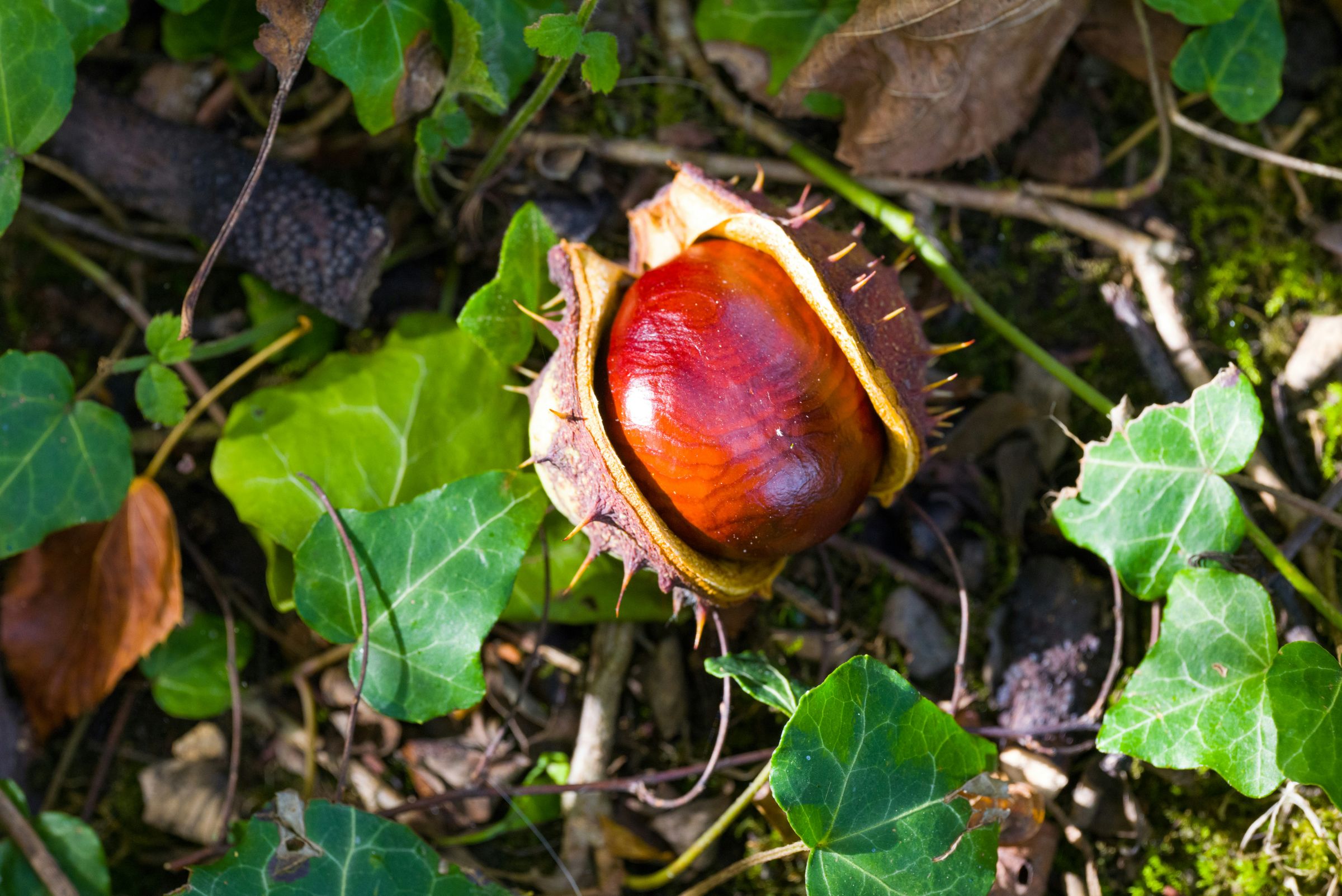 Tapping into Wellness 's image