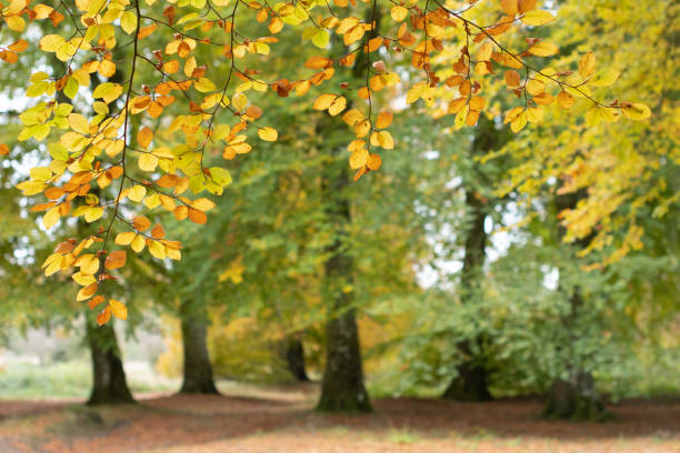 Tapping into Wellness 's image