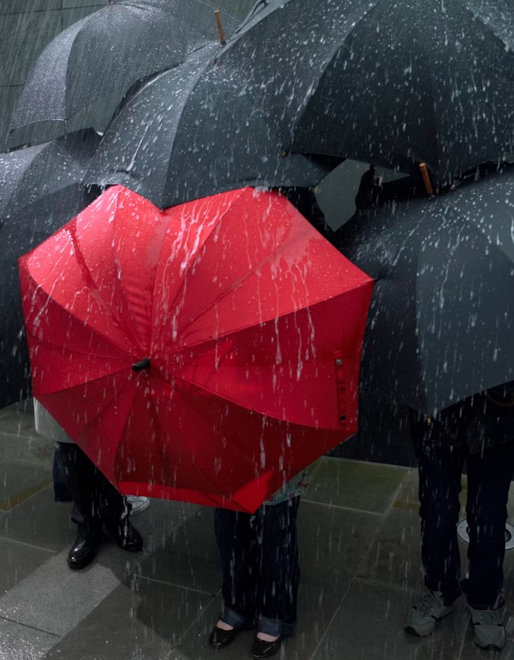 pene-ira.com's image