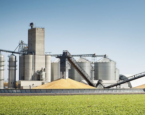 pene-ira.com's image