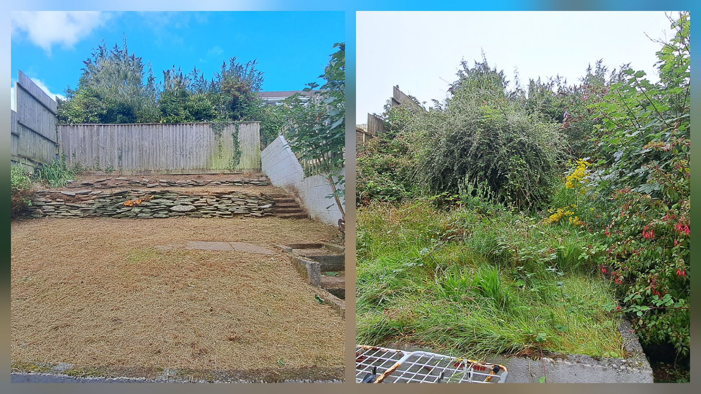 AJS Gardening 's image