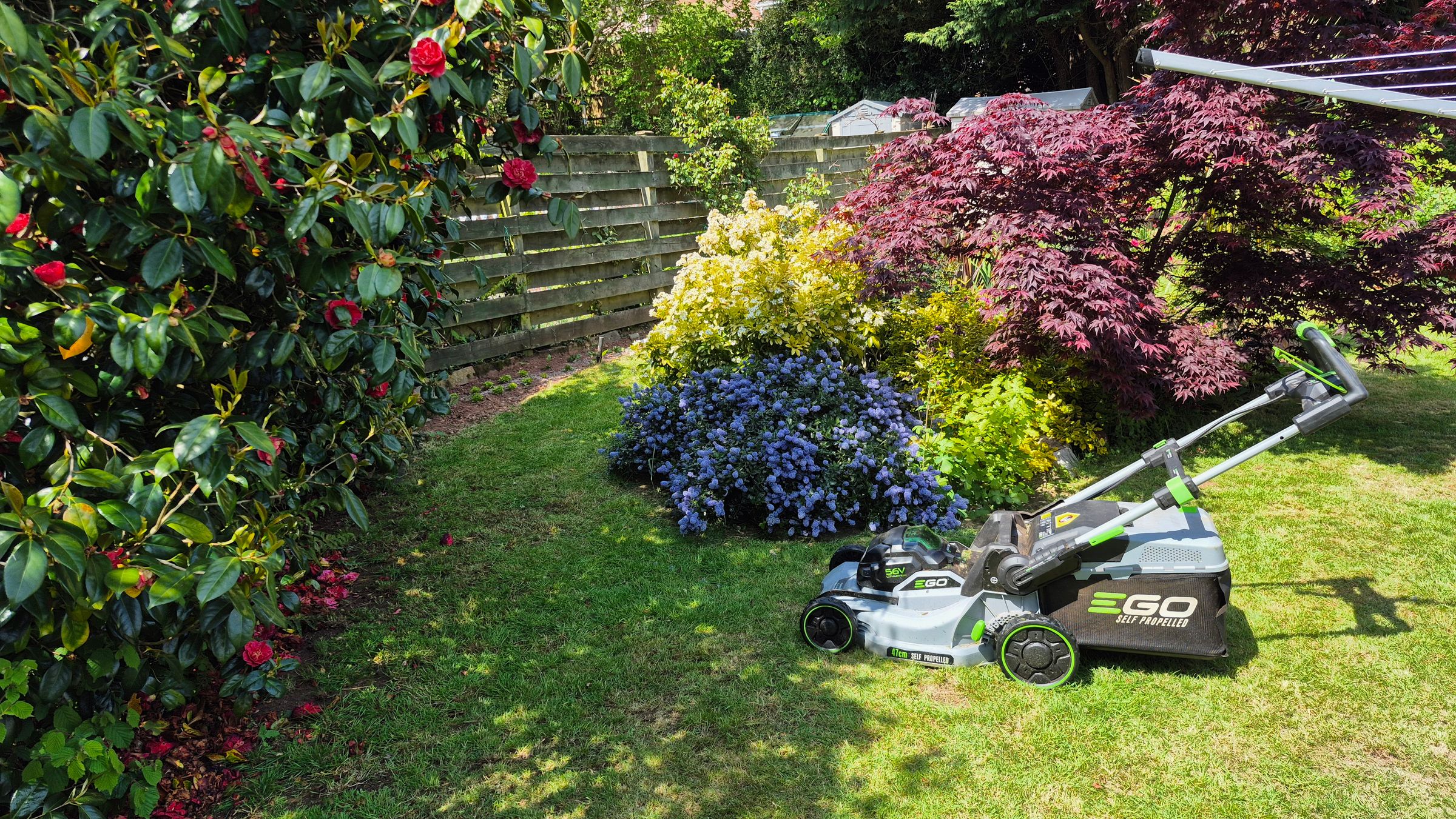 AJS Gardening 's image