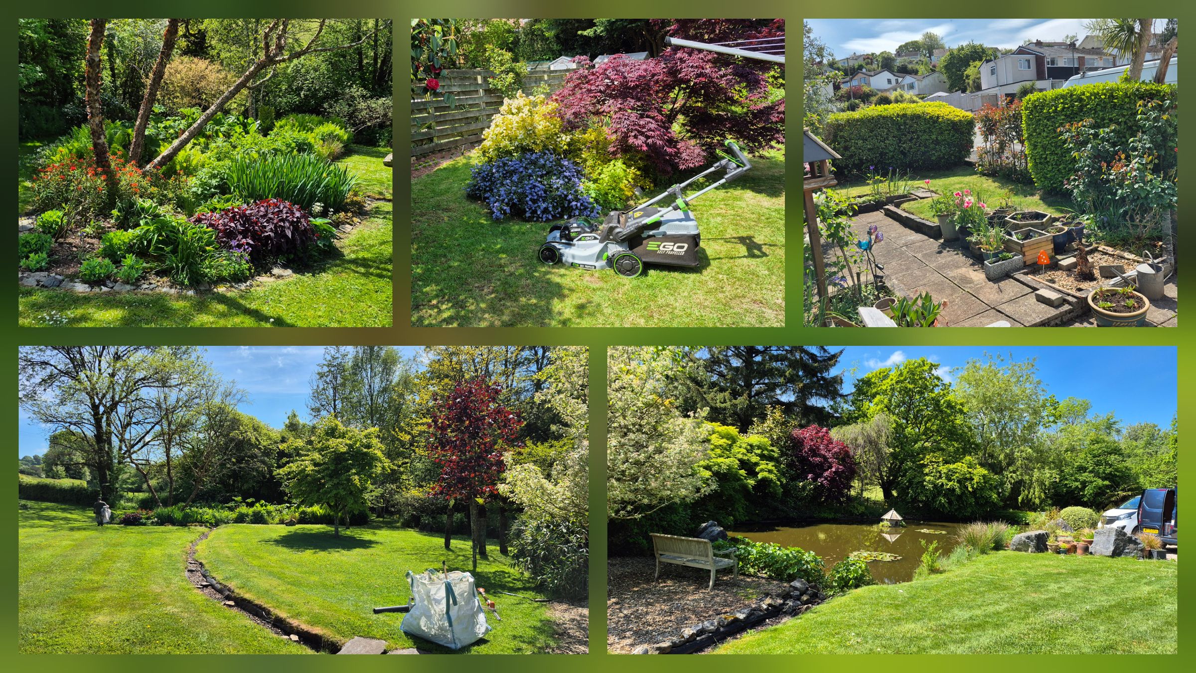 AJS Gardening 's image