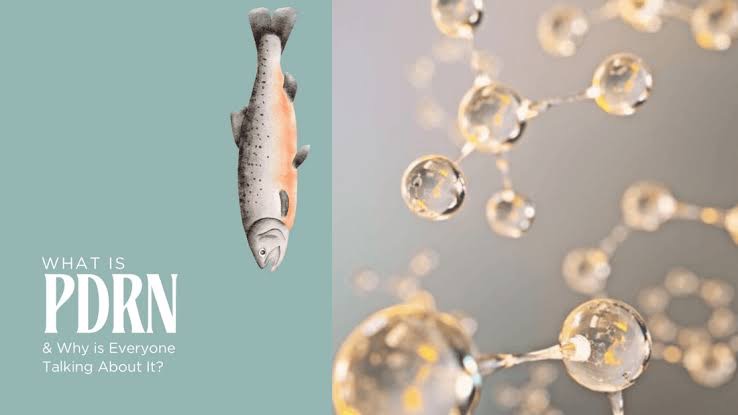 White Elm Dermatology's image