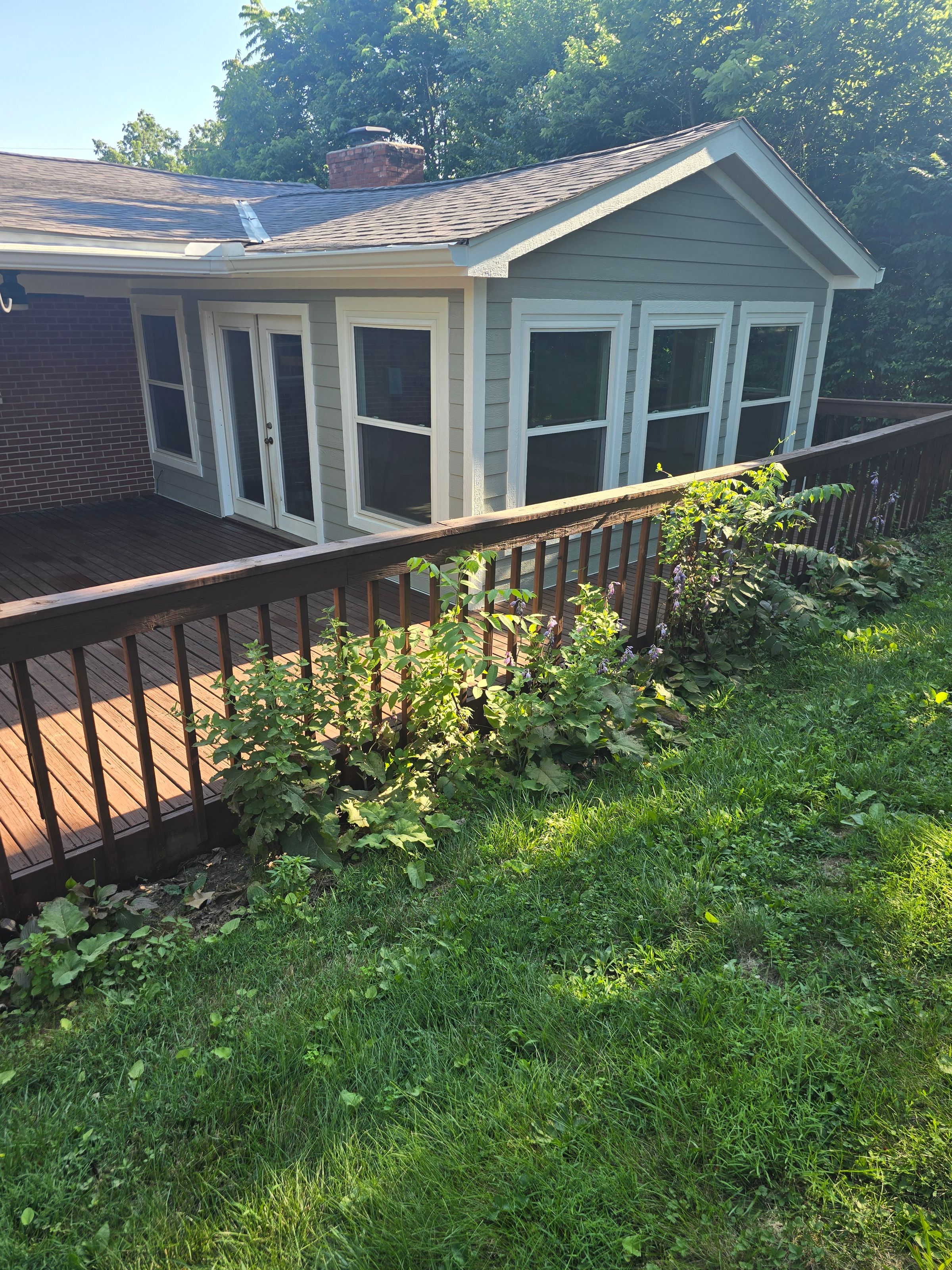 New Siding & Trim